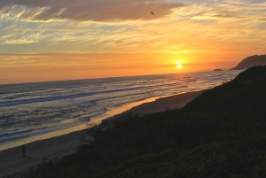 From Cape Town: 5-Day Best of Garden Route & Addo Safari