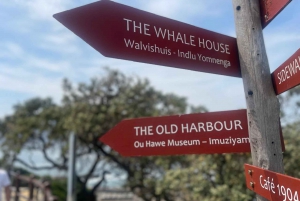 ケープタウン発：ガーデンルートツアー - 3日間