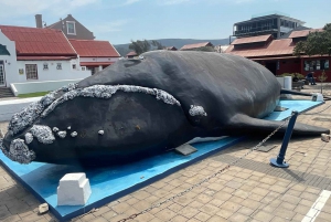 ケープタウン発：ガーデンルートツアー - 3日間