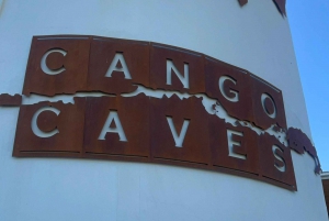 ケープタウン発：ガーデンルートツアー - 3日間