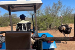 ケープタウン発：ガーデンルートツアー - 3日間