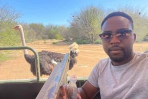 ケープタウン発：ガーデンルートツアー - 3日間