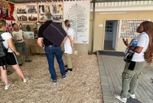 ケープタウン発：ガーデンルートツアー - 3日間