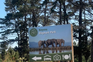 ケープタウン発：ガーデンルートツアー - 3日間