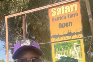 ケープタウン発：ガーデンルートツアー - 3日間