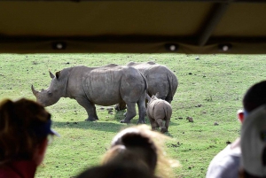 From Cape Town: South African Wildlife and Safari 2-Day Tour