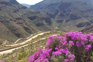 ウッズホーン発スワートベルク山プライベートツアー1日