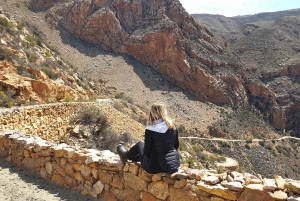 ウッズホーン発スワートベルク山プライベートツアー1日