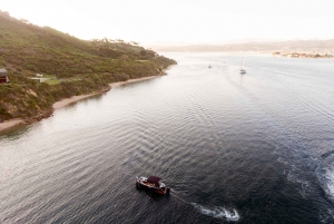 Z wyspy Thesen: Luksusowy prywatny rejs po lagunie Knysna