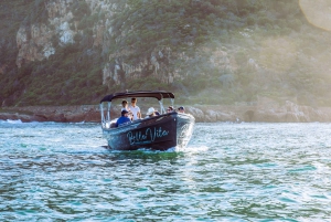 Z wyspy Thesen: Luksusowy prywatny rejs po lagunie Knysna