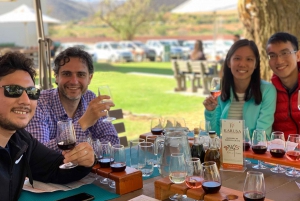 Garden Route and Addo Elephant National Park: 5-Day Safari