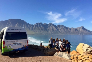 Garden Route and Addo Elephant National Park: 5-Day Safari