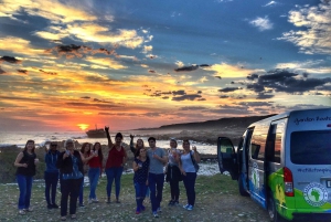 Garden Route and Addo Elephant National Park: 6-Day Safari