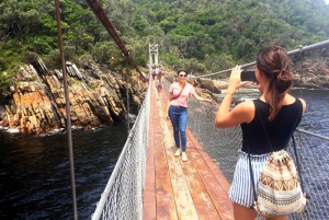 Garden Route and Addo Elephant National Park: 6-Day Safari