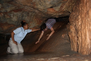 Garden Route and Addo Elephant National Park: 6-Day Safari