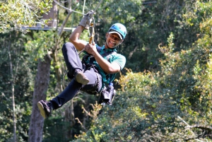 Garden Route National Park: Tsitsikamma Zipline Canopy Tour