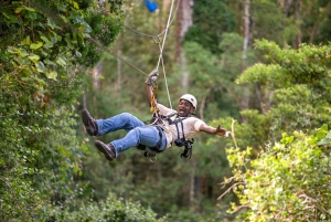 Garden Route National Park: Tsitsikamma Zipline Canopy Tour