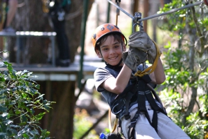 Garden Route National Park: Tsitsikamma Zipline Canopy Tour