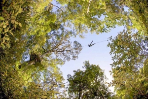 Garden Route National Park: Tsitsikamma Zipline Canopy Tour