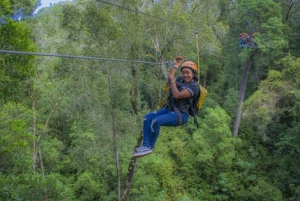 Garden Route National Park: Tsitsikamma Zipline Canopy Tour