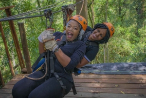 Garden Route National Park: Tsitsikamma Zipline Canopy Tour