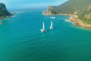 Knysna: #1 Prywatny widokowy rejs na pokładzie luksusowego katamaranu