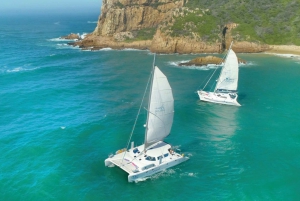 Knysna: #1 Prywatny widokowy rejs na pokładzie luksusowego katamaranu