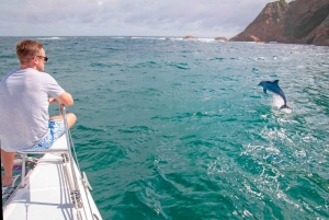 Knysna: #1 Prywatny widokowy rejs na pokładzie luksusowego katamaranu