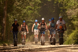 Knysna: Downhill skov-scootertur-eventyr
