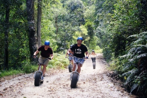 Knysna: Downhill Forest Scootour Adventure