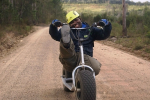 Knysna: Downhill Forest Scootour Adventure
