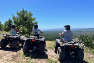 Knysna: En guidad Guidad fyrhjulingstur i skogen