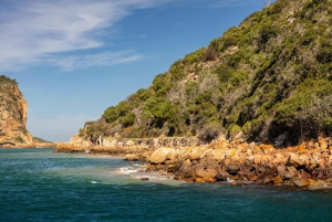 Knysna Heads Lagoon Cruise - 1 Hour