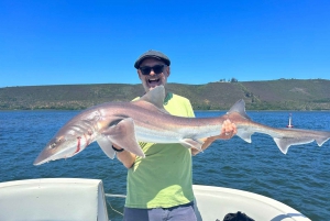 Knysna Lagoon fiskecharter