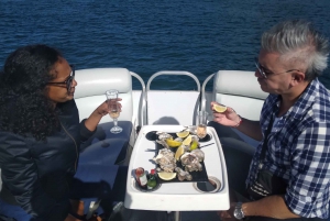 Knysna Heads Lagoon Cruise - 1 Hour