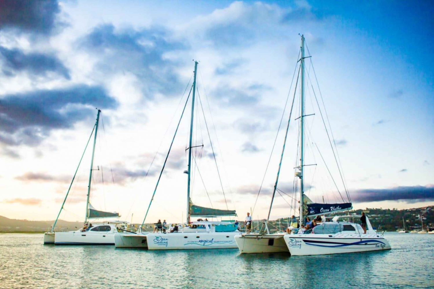 Knysna: Luxe Catamaran Avontuurlijke Tocht op Zee