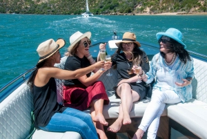 Knysna: Scenic Cruise Aboard a Luxury Lounge Cruiser