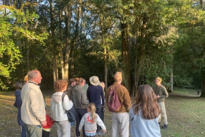 Oudtshoorn: Vogelavontuur met ontbijt