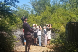 Oudtshoorn: Vogelavontuur met ontbijt