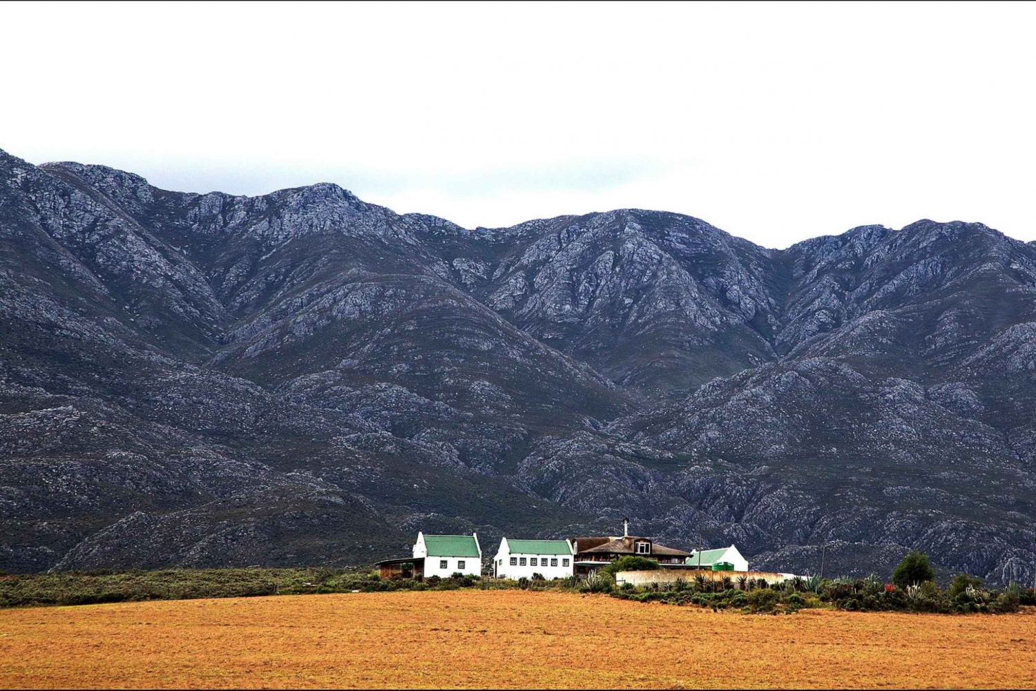 Oudtshoorn: Swartberg Bergpas Tour met Landenlunch
