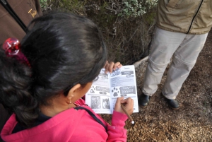 Plettenberg Baai: EcoKidz tocht door de natuur voor het hele gezin