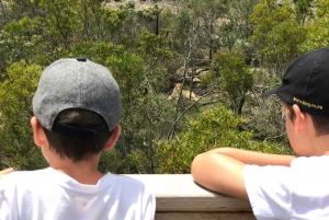 Plettenberg Baai: EcoKidz tocht door de natuur voor het hele gezin