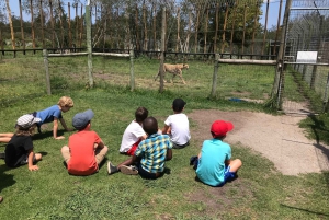 Plettenberg Baai: EcoKidz tocht door de natuur voor het hele gezin
