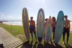 Plettenberg Bay: 2-timmars surflektion