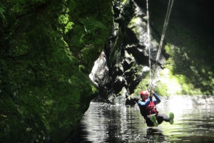 Plettenberg Bay: Canyoning Trip