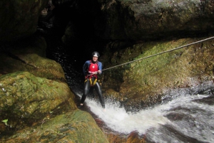 Plettenberg Bay: Canyoning Trip