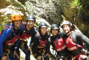 Plettenberg Bay: Canyoning Trip