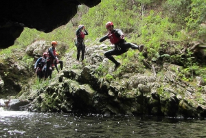 Plettenberg Bay: Canyoning Trip