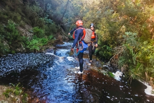 Plettenberg Bay: Canyoning Trip