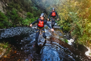 Plettenberg Bay: Canyoning Trip